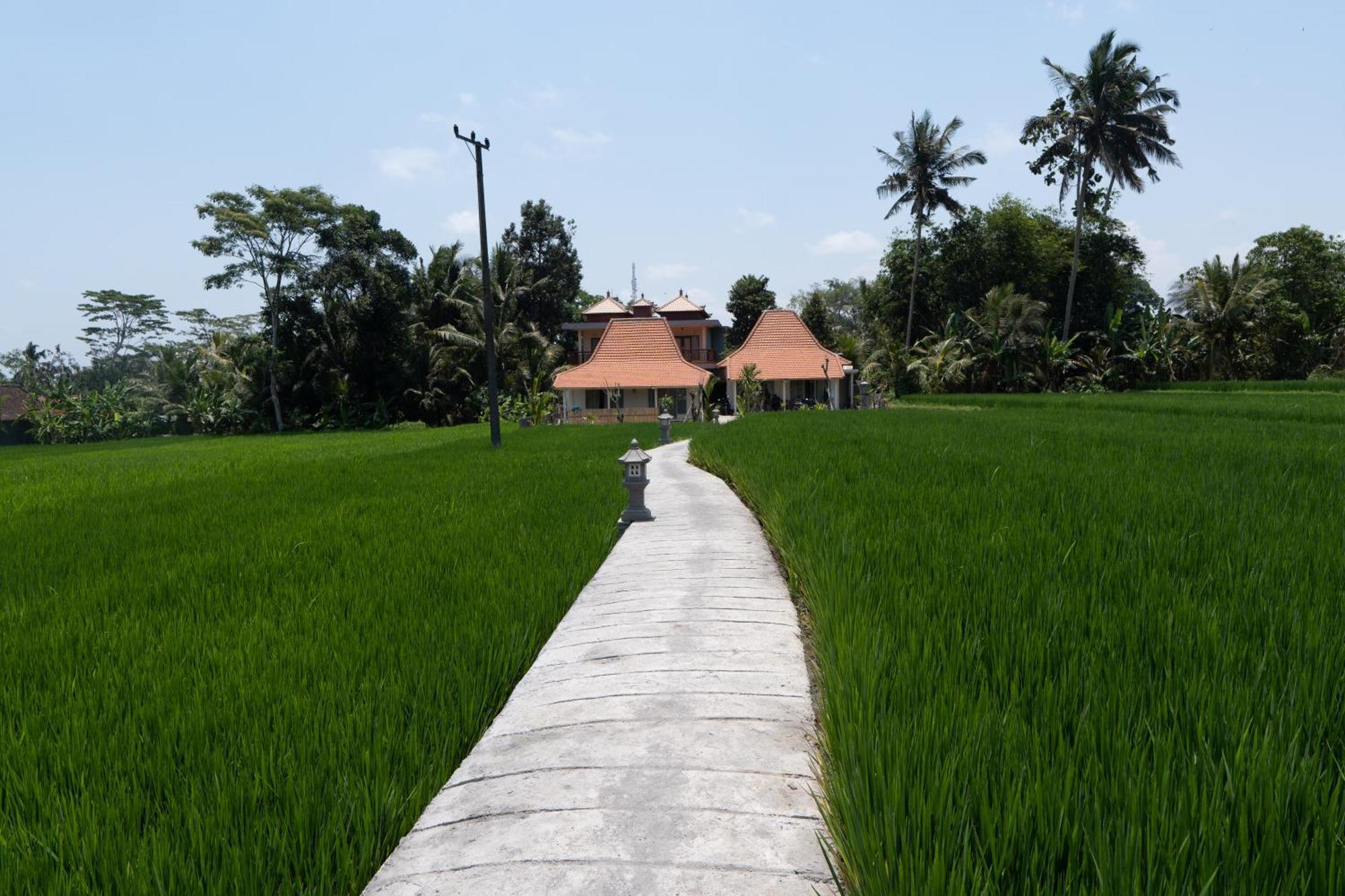 Uma Sri Dewi Villa Ubud Eksteriør billede